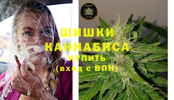 ГАЛЛЮЦИНОГЕННЫЕ ГРИБЫ Алексеевка