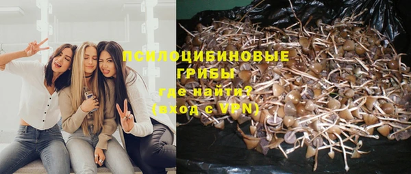 МДПВ Алзамай