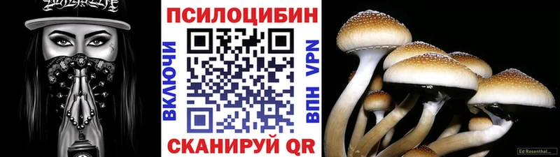 МЕГА   Стародуб  Псилоцибиновые грибы Magic Shrooms 